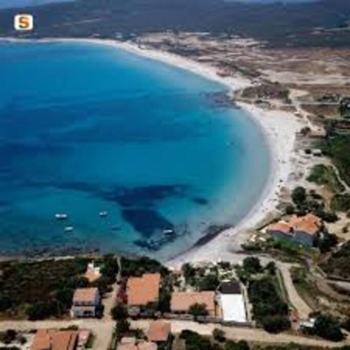 Appartement Sardegna Casa A 250 Metri Dal Mare Con Piscina à Olbia Extérieur photo