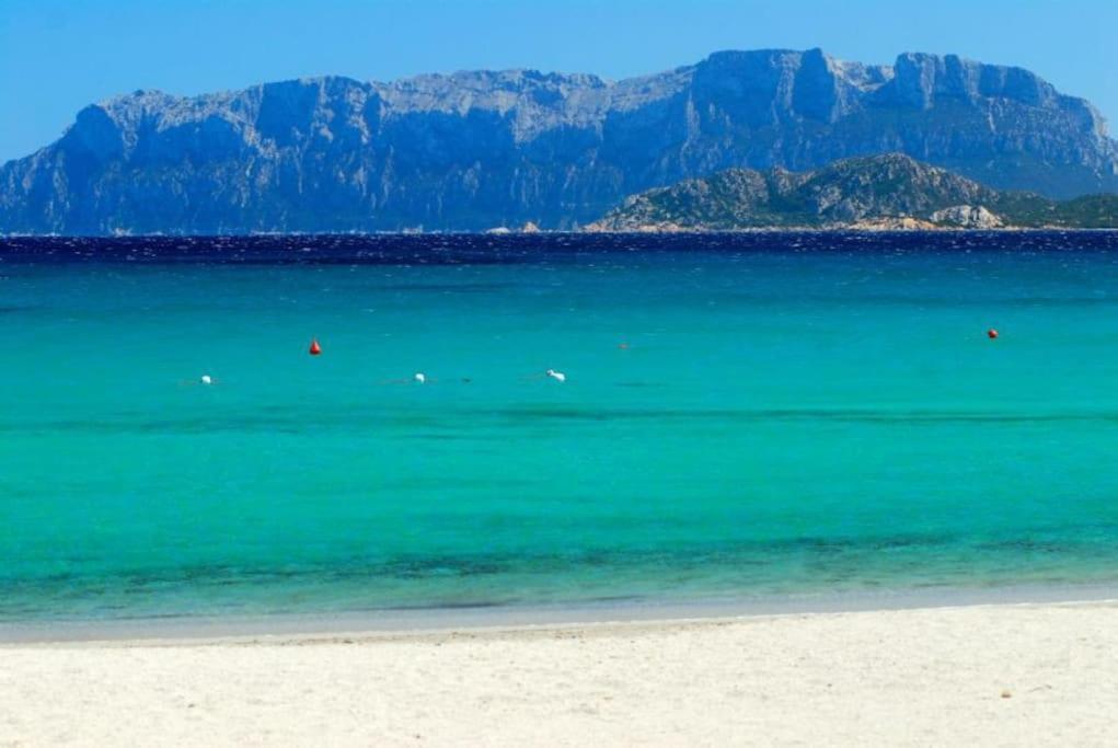Appartement Sardegna Casa A 250 Metri Dal Mare Con Piscina à Olbia Extérieur photo