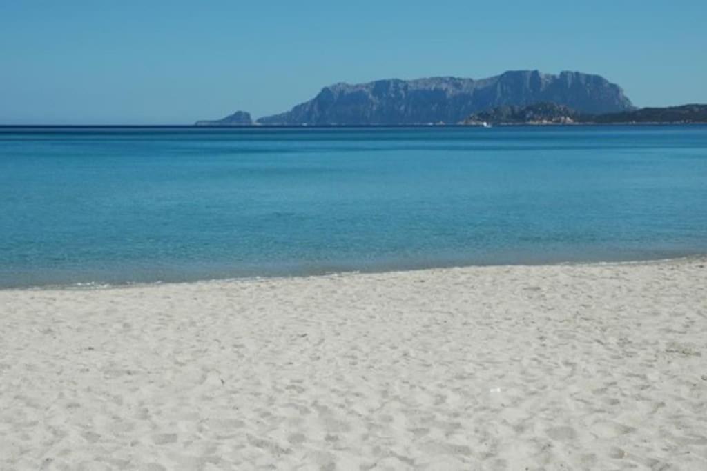 Appartement Sardegna Casa A 250 Metri Dal Mare Con Piscina à Olbia Extérieur photo